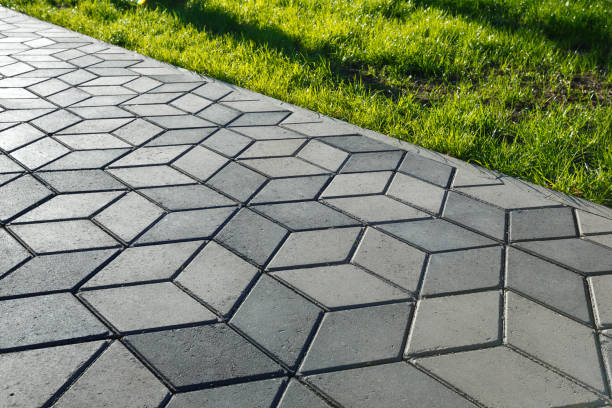 Best Professional Driveway Pavers  in Fruitland, NC