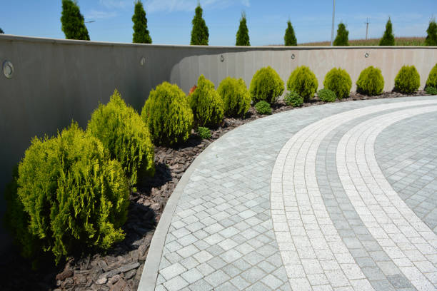 Best Paver Driveway Replacement  in Fruitland, NC